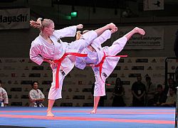 ورزش کاراته